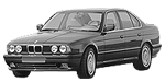BMW E34 P0CAC Fault Code